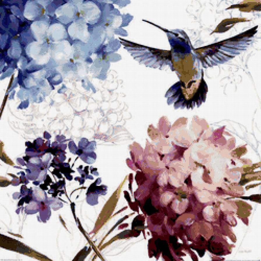 колибри - цветы, птицы, гортензия, колибри - предпросмотр