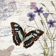 Оригинал схемы вышивки «голубая бабочка» (№287369)