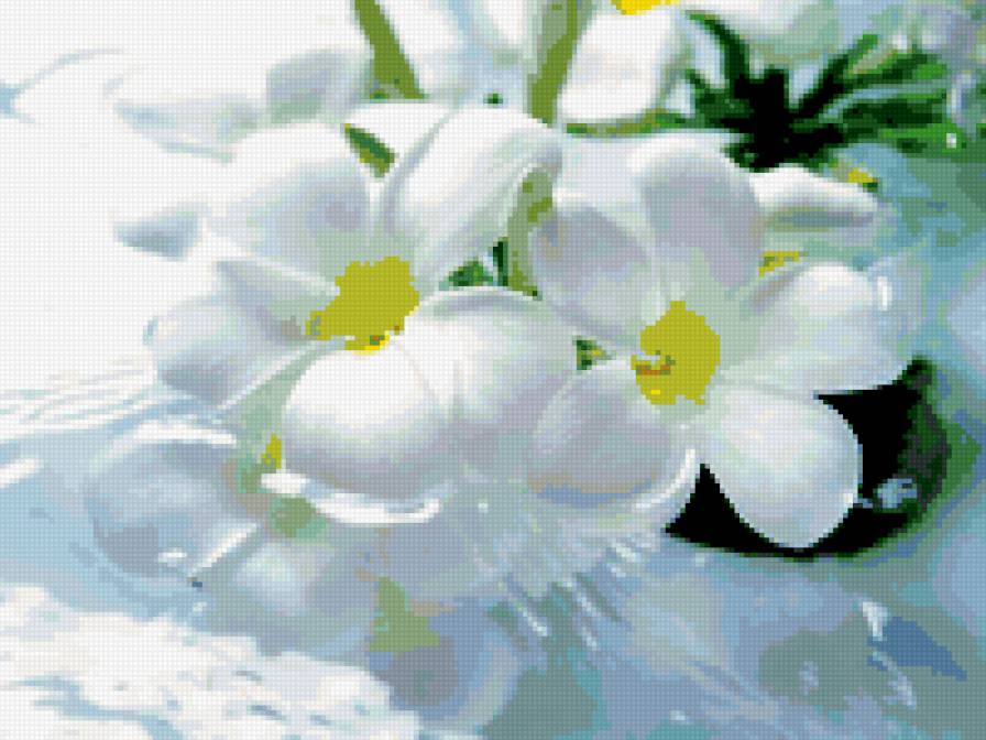 белые цветы - белые, подушка, цветы, нежные - предпросмотр