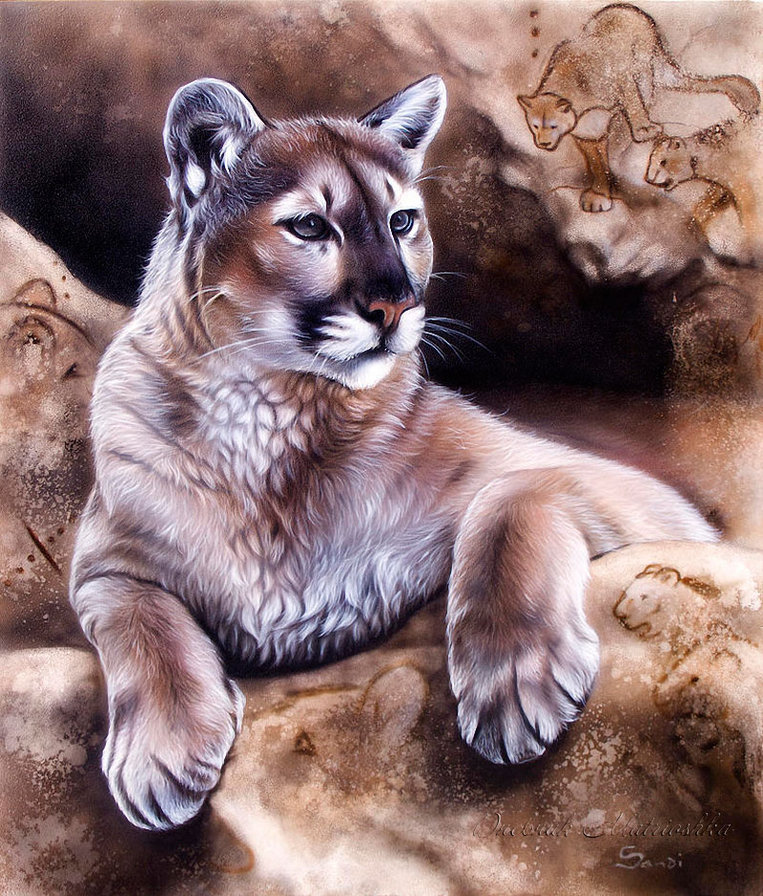 ХУДОЖНИК - Sandi Baker - пума, картина, лев, художник, дикая кошка, зверь, тигр, хищник, животное - оригинал