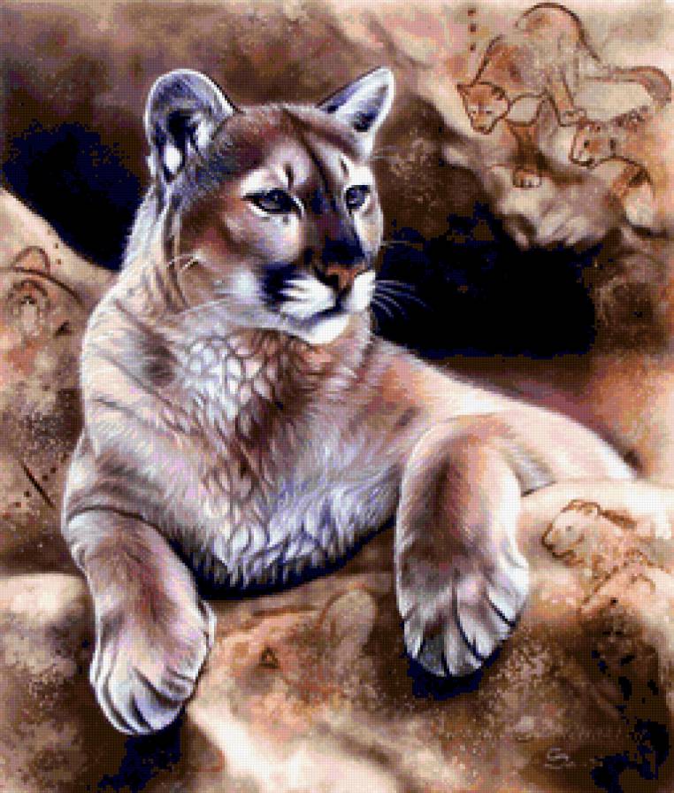 ХУДОЖНИК - Sandi Baker - картина, зверь, хищник, тигр, лев, пума, художник, дикая кошка, животное - предпросмотр