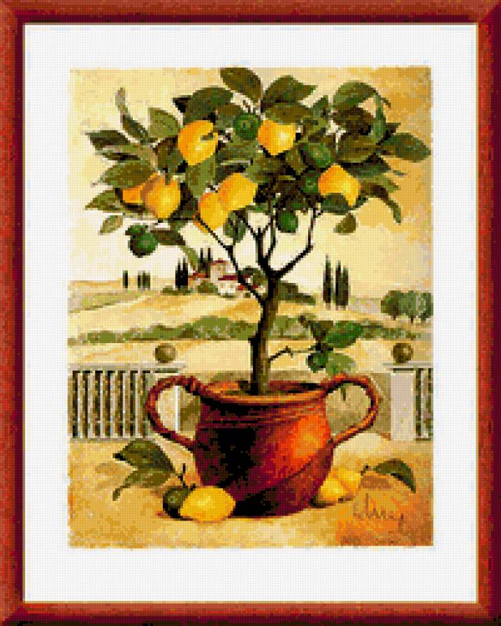 Лимонное дерево - лимон, цитрус, картина, дерево - предпросмотр