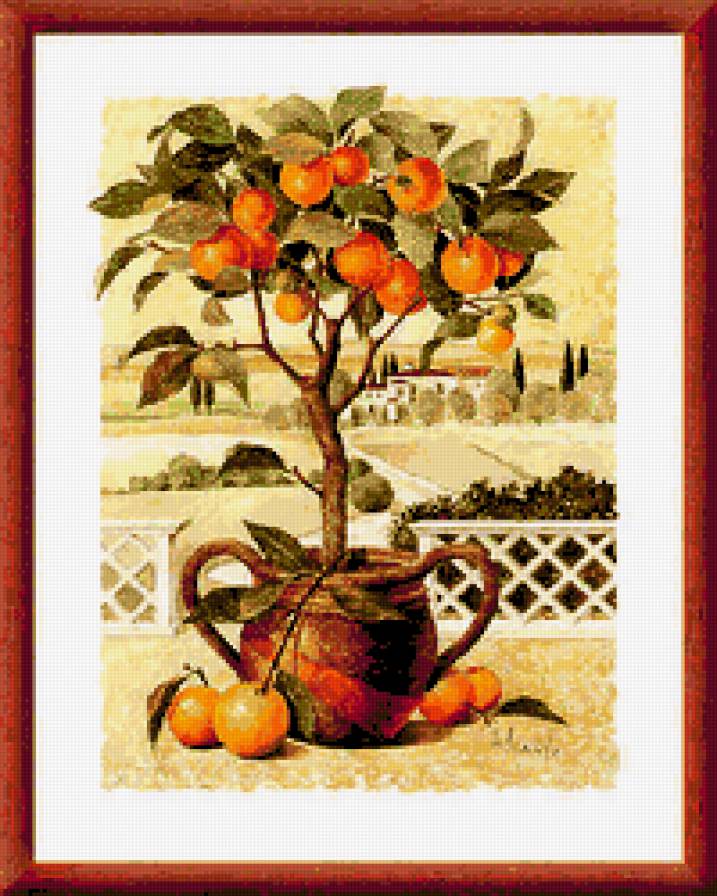 Апельсиновое дерево - дерево, картина, апельсин, цитрус - предпросмотр