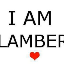 Схема вышивки «i am glambert»