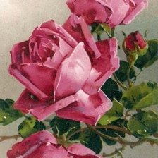 Оригинал схемы вышивки «розы» (№289128)