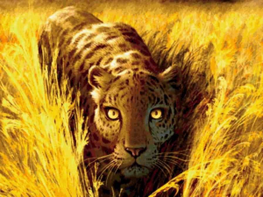 Леопард - леопард, животные, взгляд, природа, кошки - предпросмотр