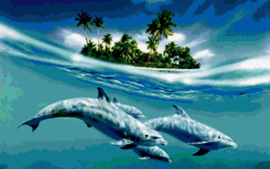 Дельфины - море, дельфины, рай, остров - предпросмотр