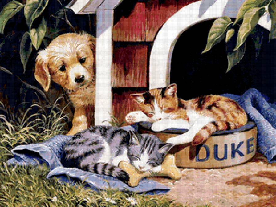Котята и щенок - щенок, кошка, собака, животные - предпросмотр