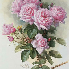Оригинал схемы вышивки «букет"розы"» (№290457)
