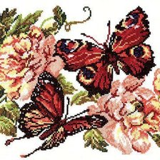 Схема вышивки «пионы и бабочки»