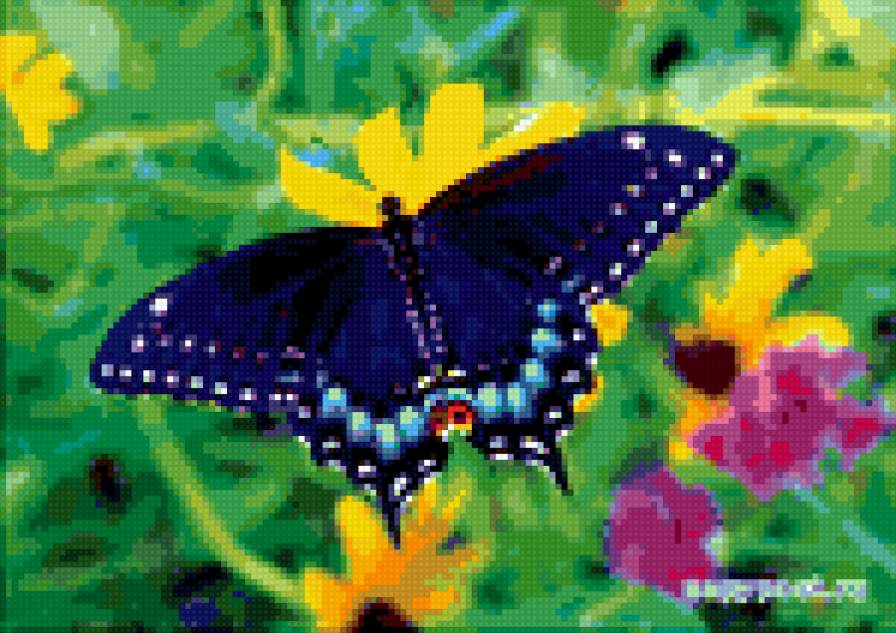 Бабочка на цветке - цветок, бабочка - предпросмотр