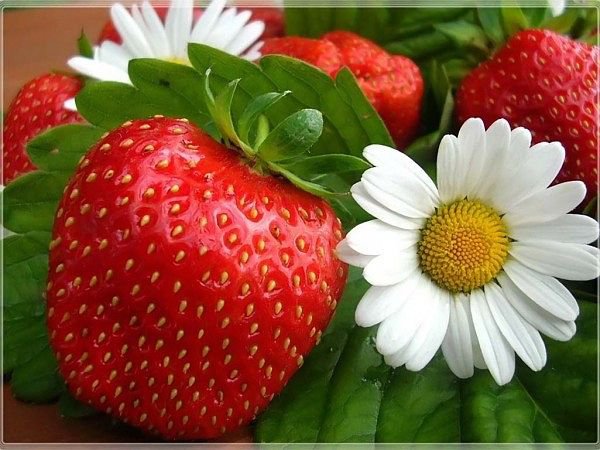 ягода клубника - клубника, для кухни, ягоды, фрукты, цветы - оригинал
