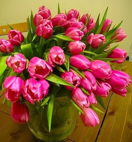 Тюльпаны - цветы, весна, тюльпаны, 8 марта - оригинал