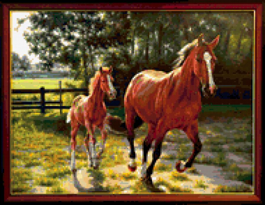 0074 - лето, лошади, красота, кони, животные, природа, картина - предпросмотр