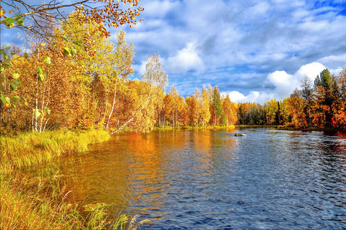 осень - золото, пейзаж, осень, отражение, озеро, вода, листья - оригинал