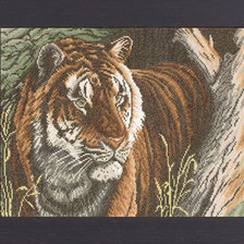 тигр красавец