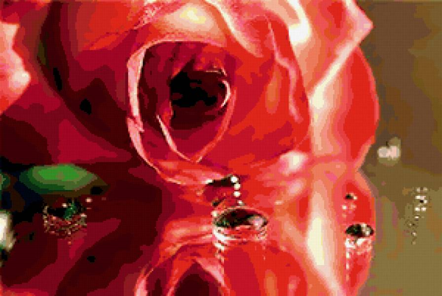 №294304 - букеты, розы, цветы - предпросмотр