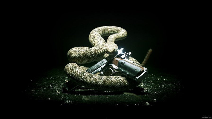 змея - хищник, животные, оружие - оригинал