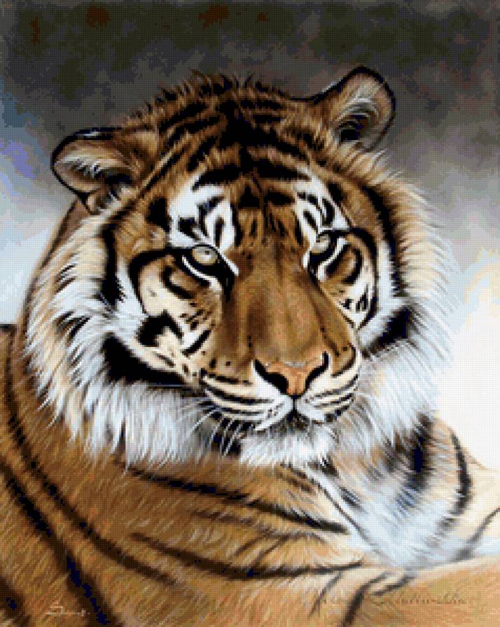 ХУДОЖНИК - Sandi Baker - лес, леопард, лев, хищник, тигр, животное, картина, зверь - предпросмотр