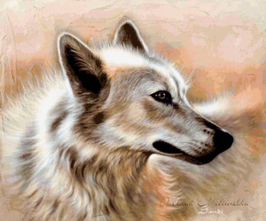 ХУДОЖНИК - Sandi Baker - картина, хищник, белый волк, волк, животное, зверь, лес - предпросмотр