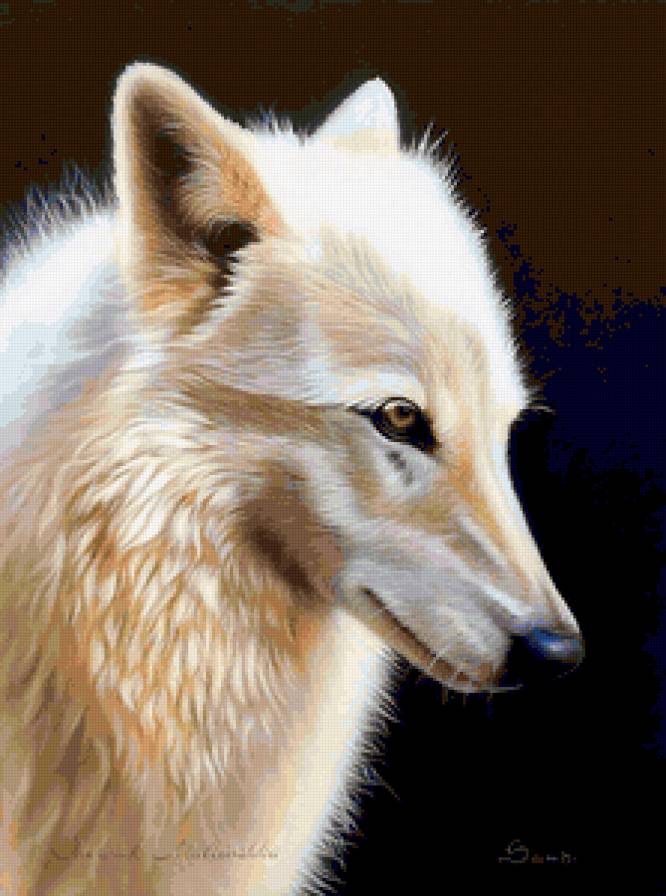 ХУДОЖНИК - Sandi Baker - лес, хищник, волк, зверь, животное, белый волк, картина - предпросмотр