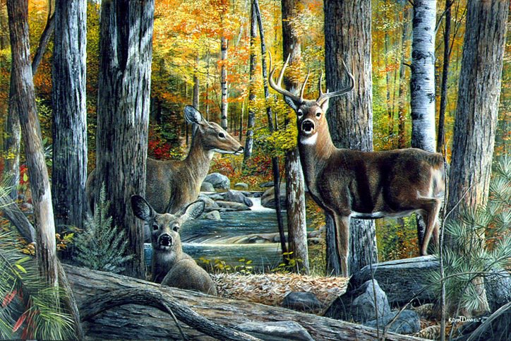 Олени - пейзаж.осень, олени, лес, животные, деревя, природа - оригинал