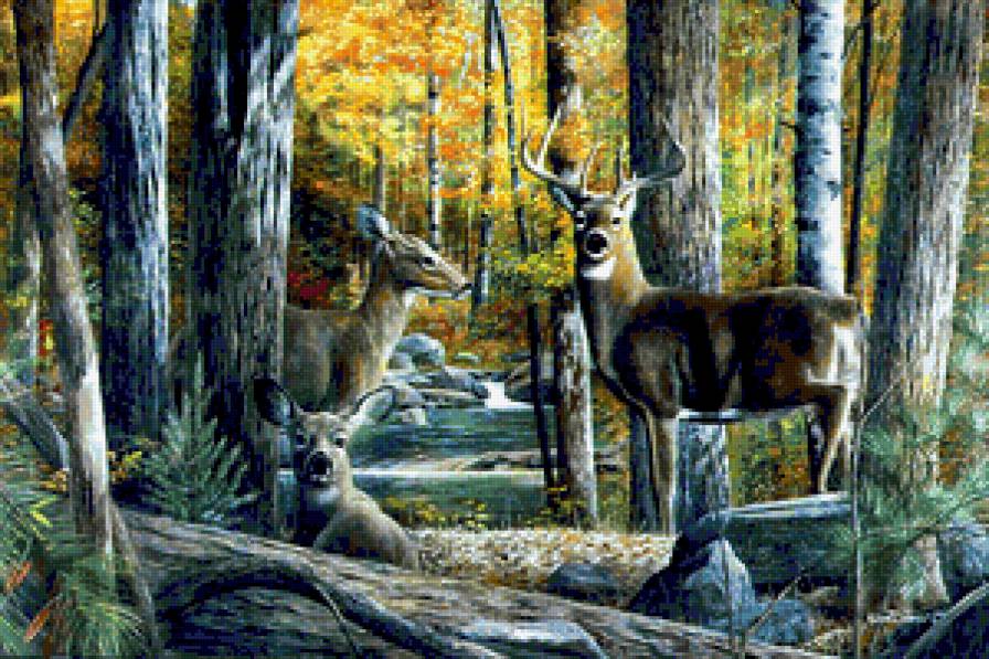 Олени - деревя, пейзаж.осень, лес, природа, животные, олени - предпросмотр