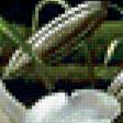 Предпросмотр схемы вышивки «лилии» (№295003)