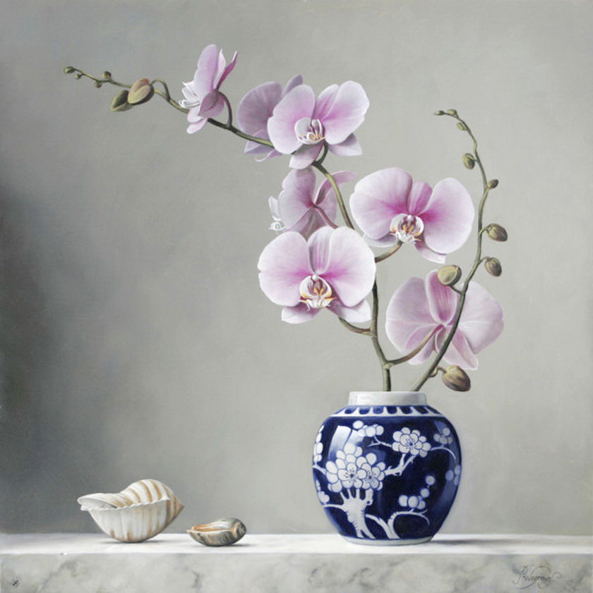 Орхидеи - цветы, орхидеи, натюрморт, нежность - оригинал