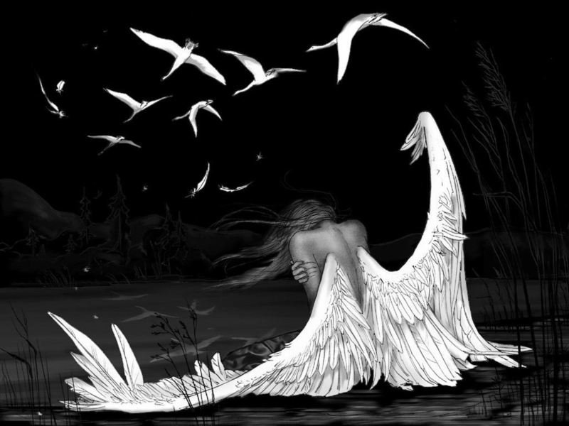 Разбитая мечта. - ангел, лебеди, птицы, крылья, девушка, дева - оригинал