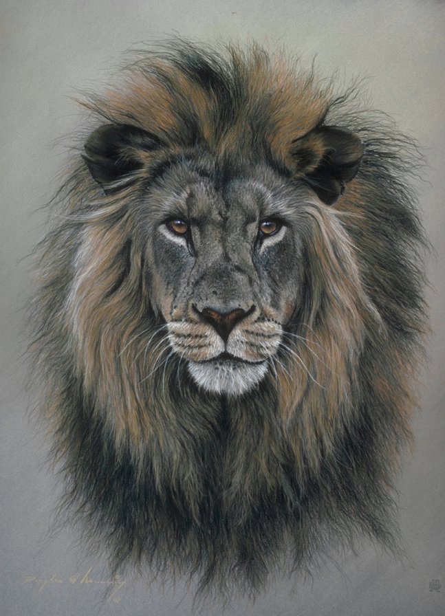 Лев - лев, хищник, зверь, животное, картина, дикая кошка - оригинал