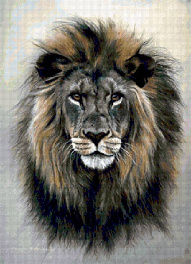 Лев - картина, лев, животное, дикая кошка, зверь, хищник - предпросмотр