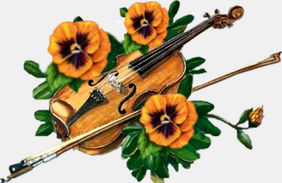 скрипка и цветы - оригинал