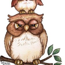 Owl Grumpy