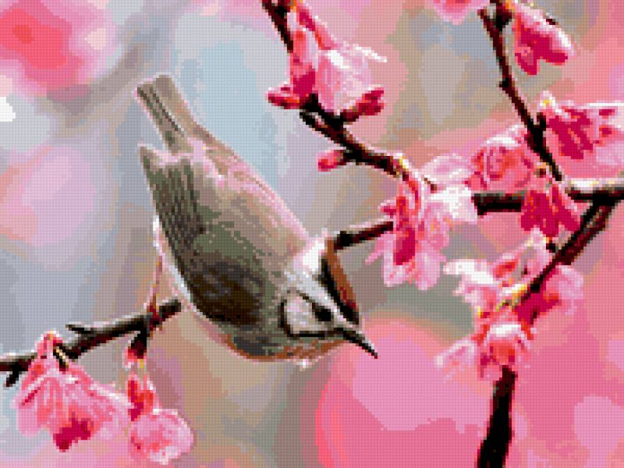 Весна - птицы, весна, цветы - предпросмотр