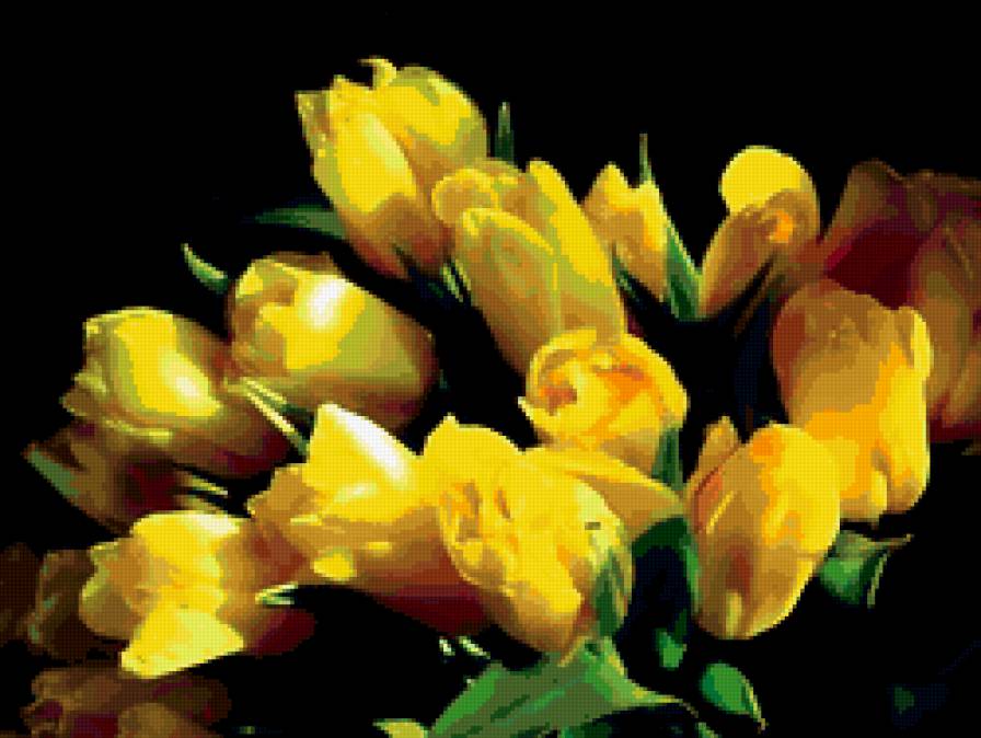 тюльпаны - букет, тюльпаны, цветы - предпросмотр