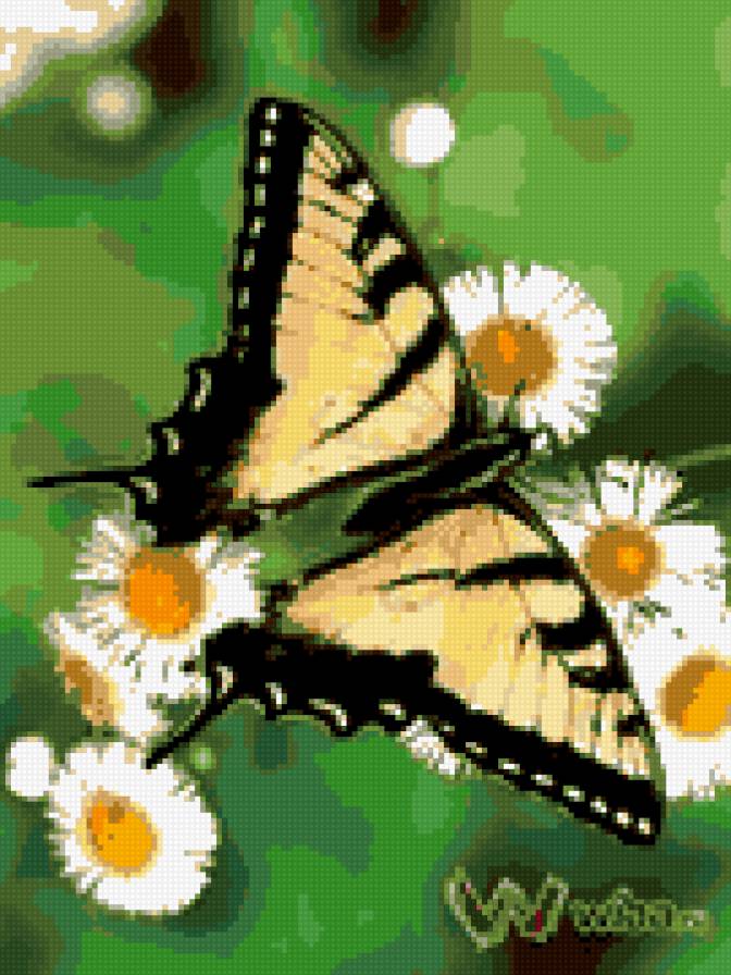 серия "бабочки" - цветы, ромашки, насекомые, бабочки - предпросмотр
