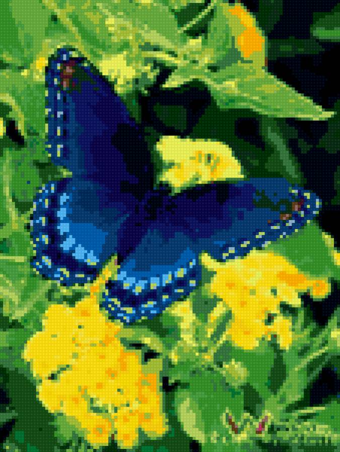 серия "бабочки" - цветы, бабочка - предпросмотр