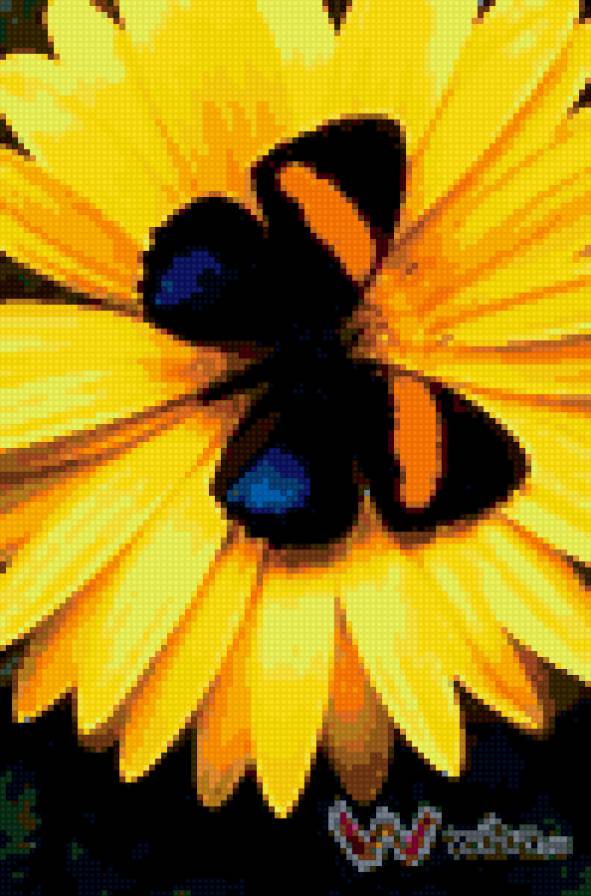 серия "бабочки" - цветы, бабочка - предпросмотр