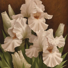 цветы от художника Игоря Левашова