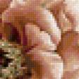 Предпросмотр схемы вышивки «букет цветов» (№297170)