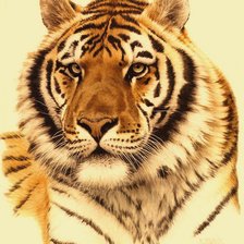 Оригинал схемы вышивки «тигр» (№297438)