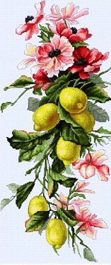 цветы - фрукты, лимоны, цветы, натюрморт - оригинал