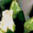 Предпросмотр схемы вышивки «Букет цветов» (№297562)