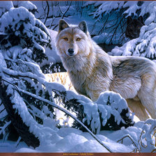 Оригинал схемы вышивки «Снежный волк» (№297692)