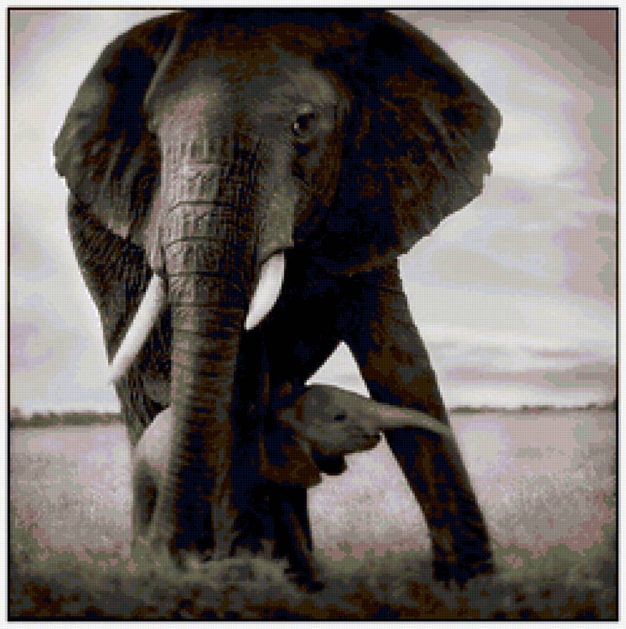 под защитой - слон, африка, животные - предпросмотр