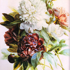 Оригинал схемы вышивки «цветы» (№298154)