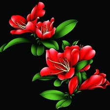 Оригинал схемы вышивки «красные цветы» (№298272)