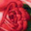 Предпросмотр схемы вышивки «букет роз» (№298505)