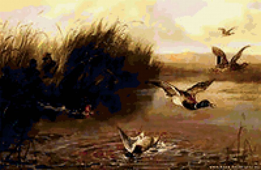 охота утки - предпросмотр